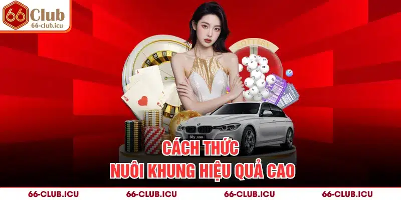 Cách thức nuôi khung hiệu quả cao