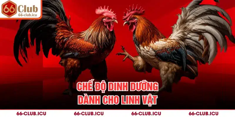 Chế độ dinh dưỡng dành cho linh vật