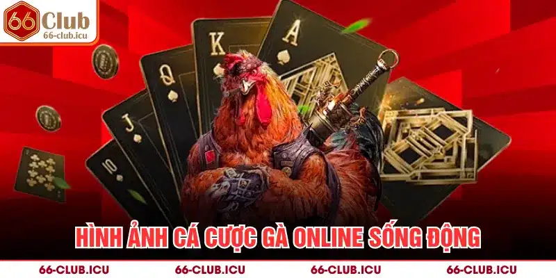 Hình ảnh cá cược gà online sống động