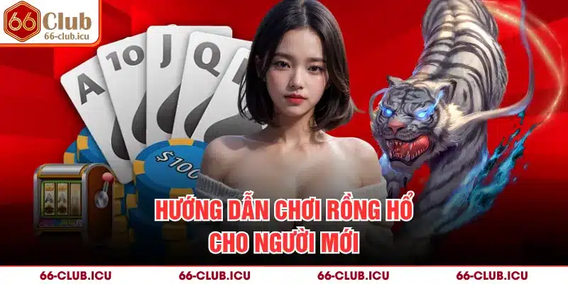 Hướng dẫn chơi rồng hổ cho người mới