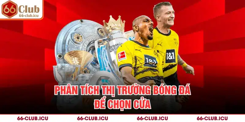 Phân tích thị trường bóng đá để chọn cửa