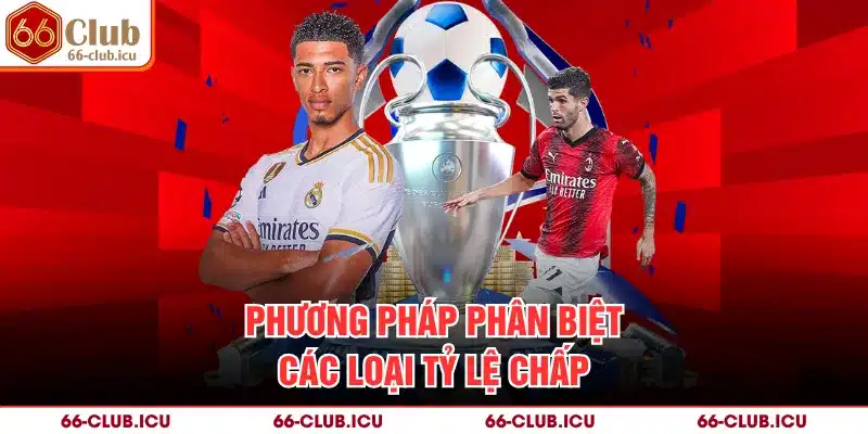 Phương pháp phân biệt các loại tỷ lệ chấp