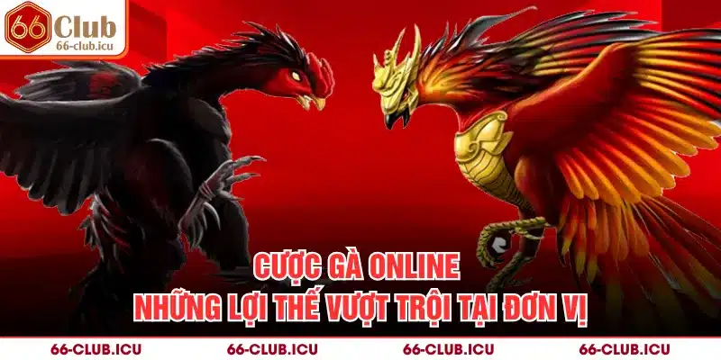 Cược Gà Online - Những Lợi Thế Vượt Trội Tại Đơn Vị