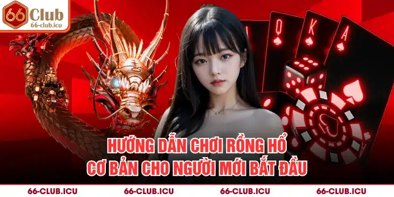 Hướng Dẫn Chơi Rồng Hổ Cơ Bản Cho Người Mới Bắt Đầu